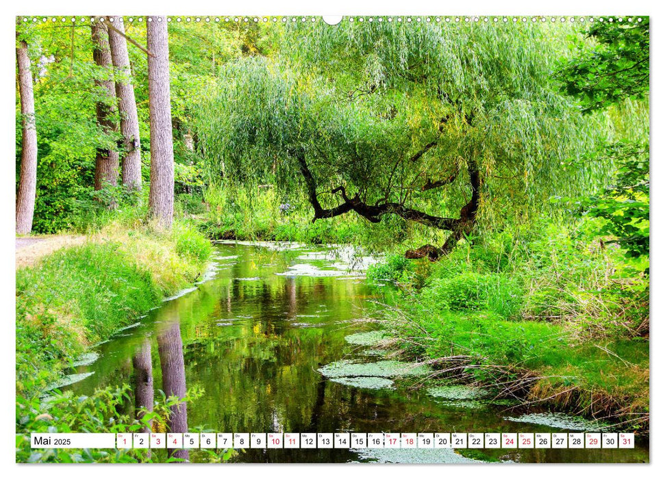 Zauberhafte Natur entlang der Schwalm (CALVENDO Wandkalender 2025)