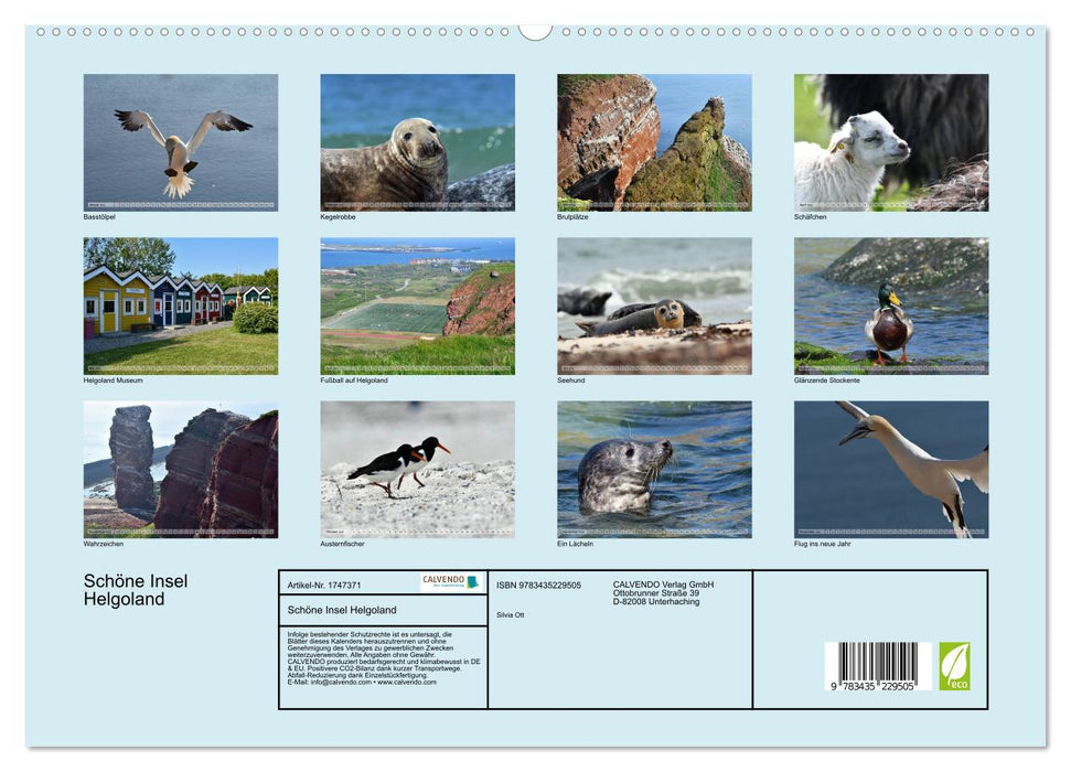 Schöne Insel Helgoland (CALVENDO Premium Wandkalender 2025)