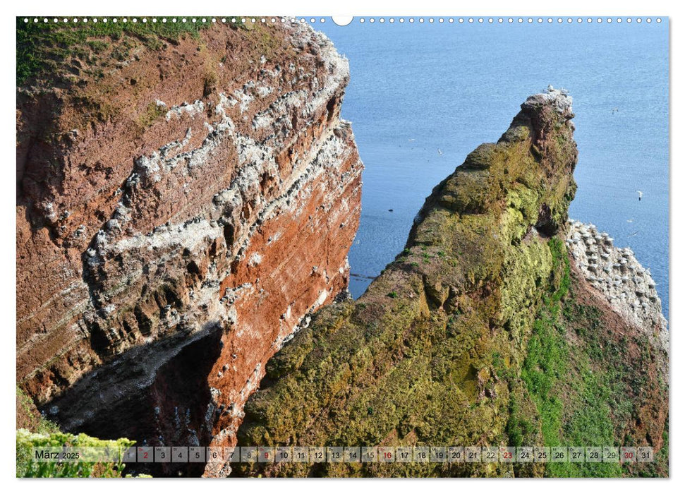 Schöne Insel Helgoland (CALVENDO Premium Wandkalender 2025)