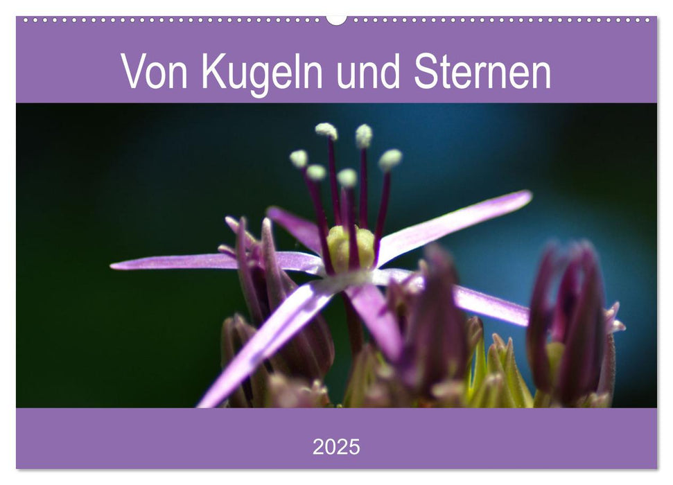 Von Kugeln und Sternen (CALVENDO Wandkalender 2025)