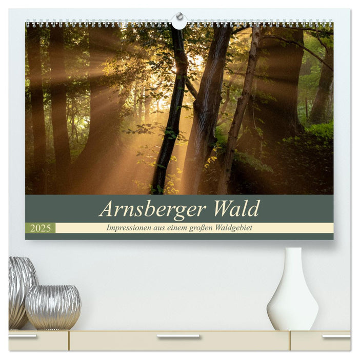 Arnsberger Wald (CALVENDO Premium Wandkalender 2025)