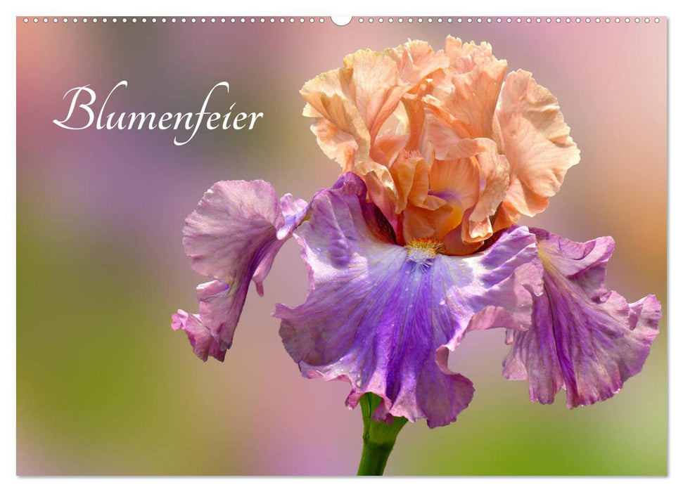 Blumenfeier (CALVENDO Wandkalender 2025)