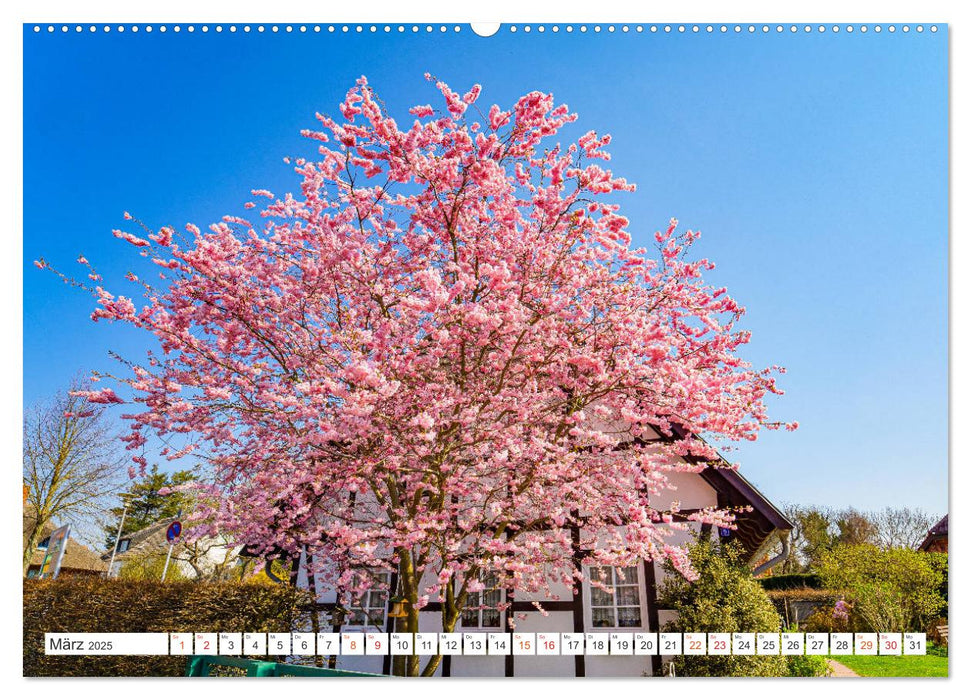 Wustrow Impressionen (CALVENDO Premium Wandkalender 2025)