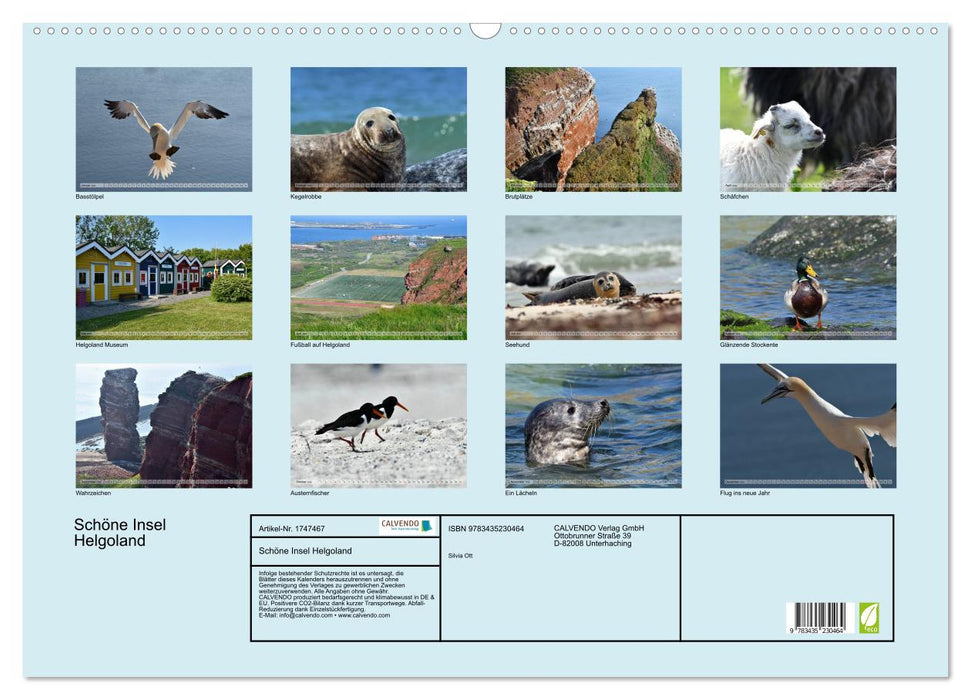 Schöne Insel Helgoland (CALVENDO Wandkalender 2025)