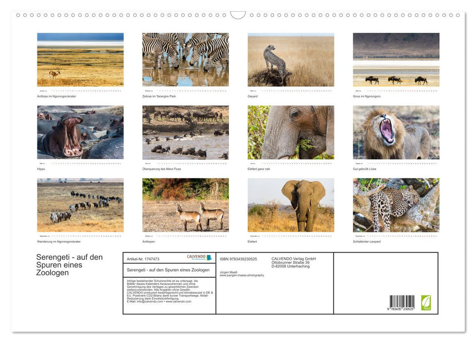 Serengeti - auf den Spuren eines Zoologen (CALVENDO Wandkalender 2025)