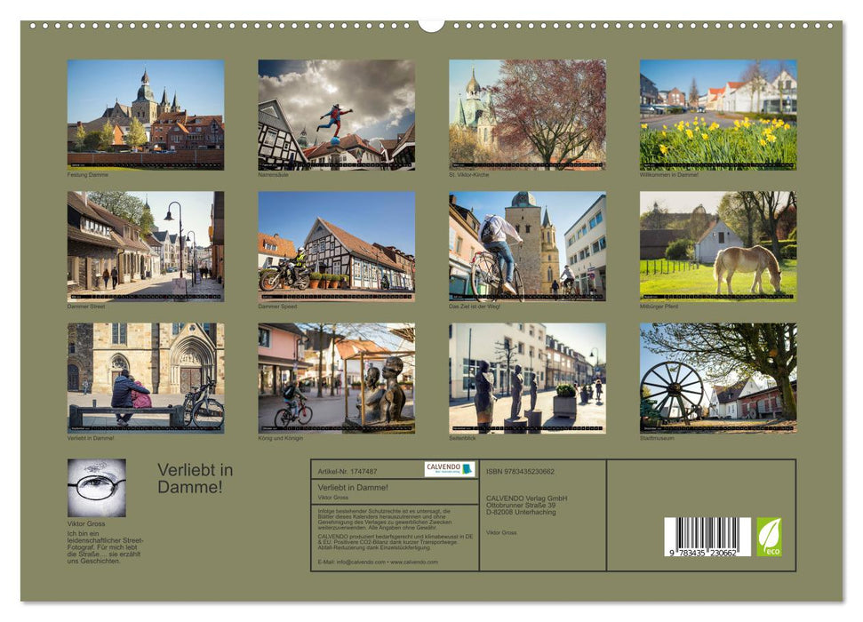 Verliebt in Damme! (CALVENDO Premium Wandkalender 2025)