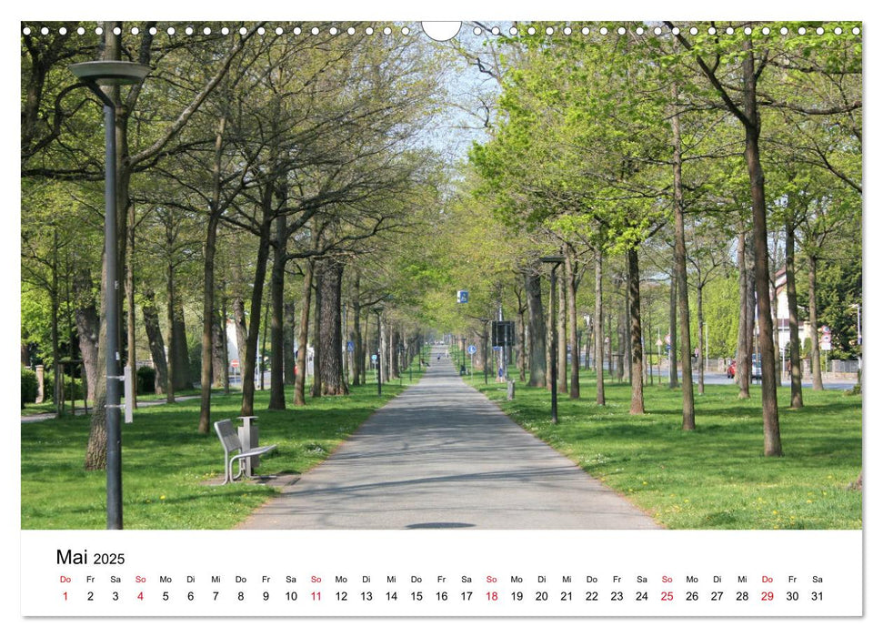 Barockstadt Bad Arolsen (CALVENDO Wandkalender 2025)