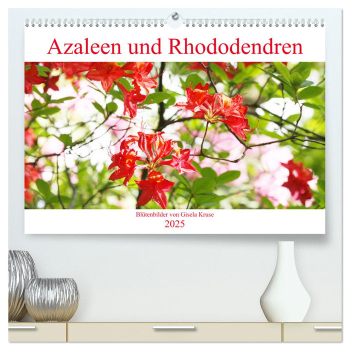 Azaleen und Rhododendren Blütenbilder (CALVENDO Premium Wandkalender 2025)