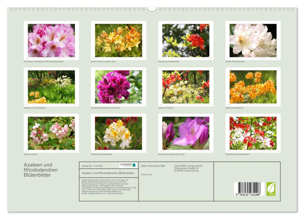 Azaleen und Rhododendren Blütenbilder (CALVENDO Premium Wandkalender 2025)