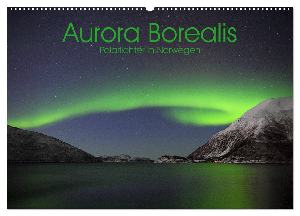 Aurora Borealis: Polarlichter in Norwegen (CALVENDO Wandkalender 2025)