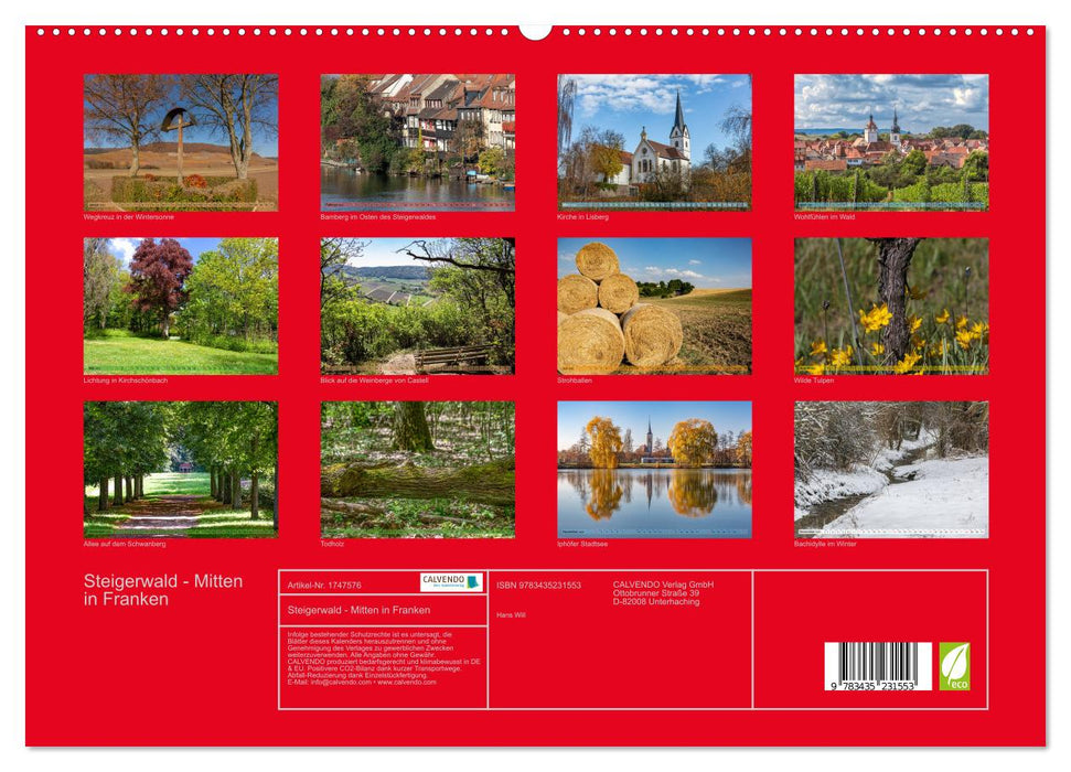 Steigerwald - Mitten in Franken (CALVENDO Premium Wandkalender 2025)