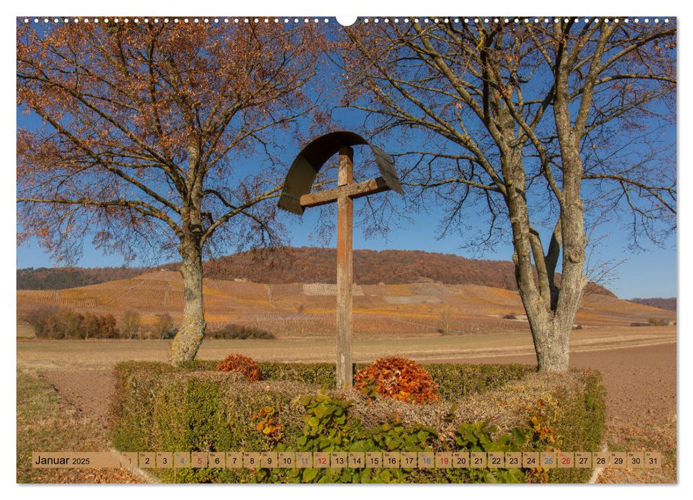 Steigerwald - Mitten in Franken (CALVENDO Premium Wandkalender 2025)