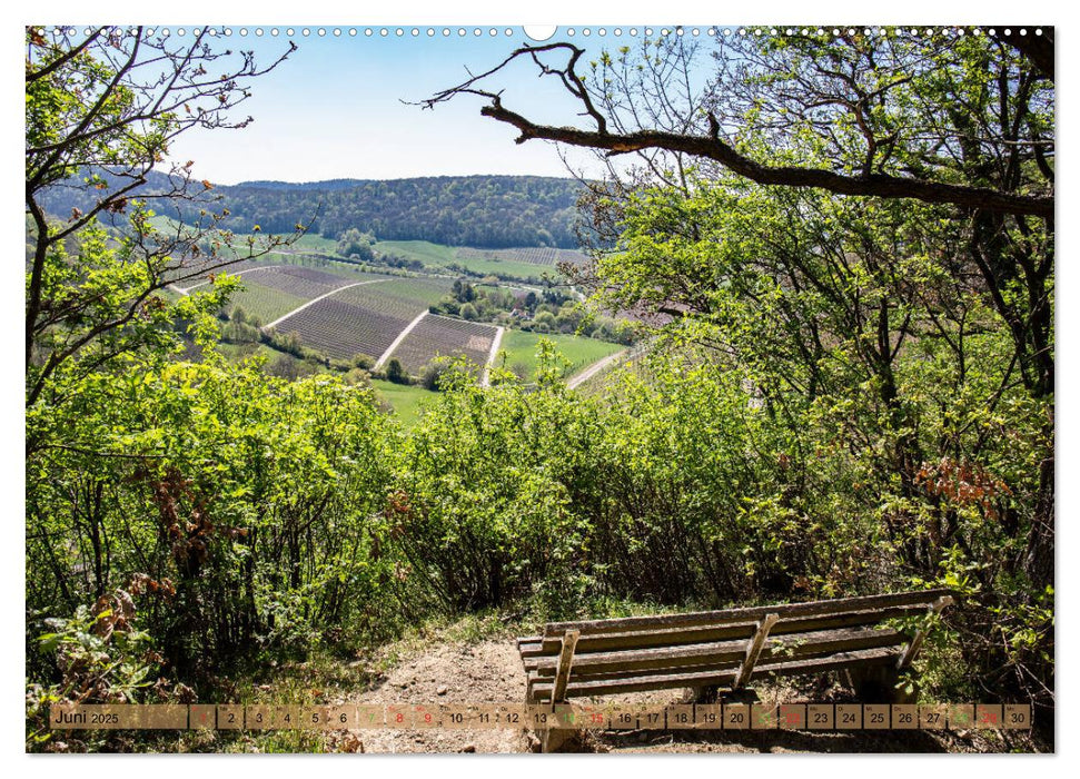 Steigerwald - Mitten in Franken (CALVENDO Premium Wandkalender 2025)