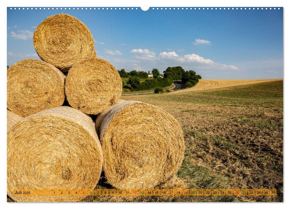 Steigerwald - Mitten in Franken (CALVENDO Premium Wandkalender 2025)