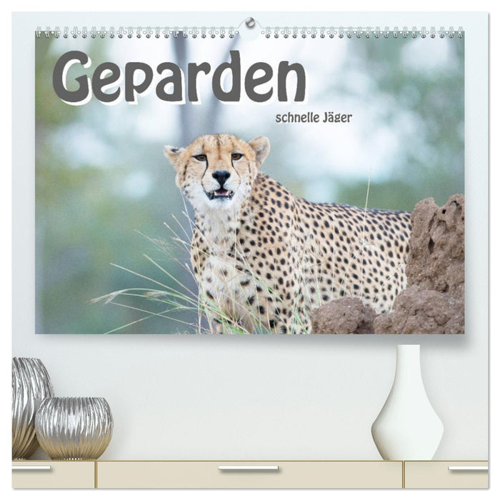 Geparden - schnelle Jäger (CALVENDO Premium Wandkalender 2025)