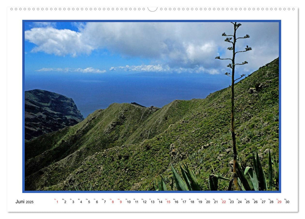 Teneriffa - Insel im Wind (CALVENDO Premium Wandkalender 2025)