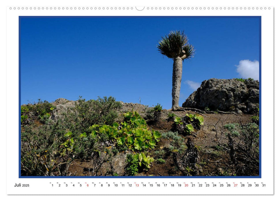 Teneriffa - Insel im Wind (CALVENDO Premium Wandkalender 2025)