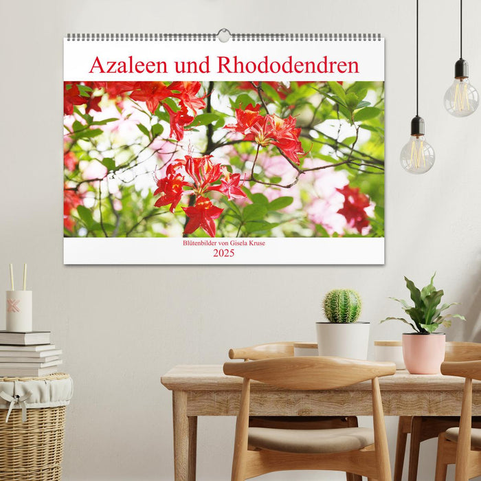 Azaleen und Rhododendren Blütenbilder (CALVENDO Wandkalender 2025)