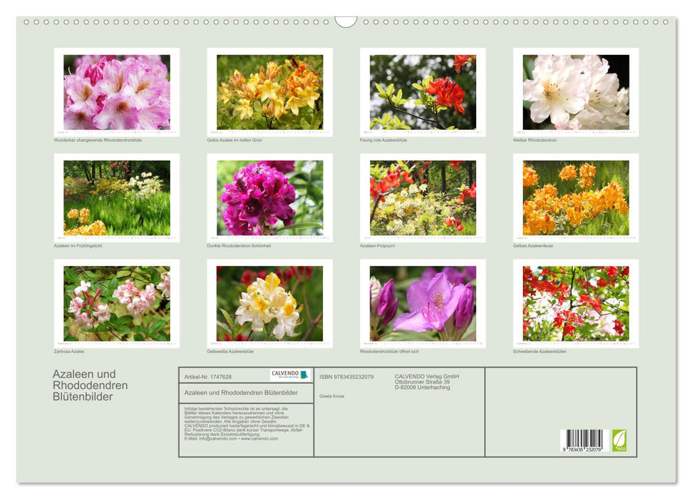 Azaleen und Rhododendren Blütenbilder (CALVENDO Wandkalender 2025)