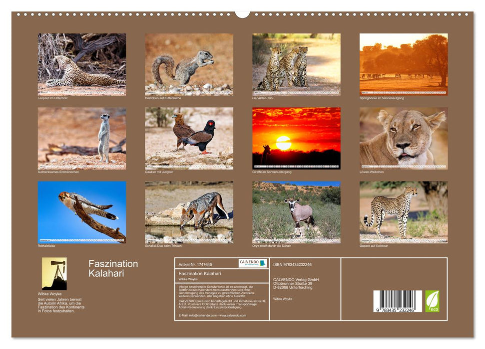 Faszination Kalahari (CALVENDO Premium Wandkalender 2025)