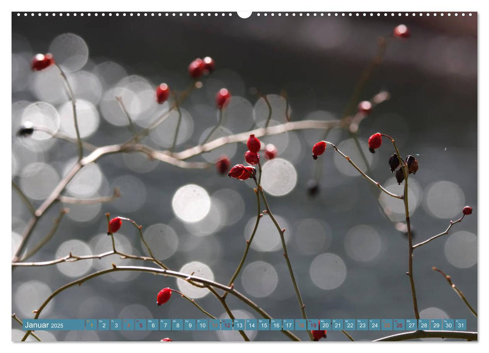 Zauberhaftes Bokeh - Glitzernde Welt winziger Wassertropfen (CALVENDO Premium Wandkalender 2025)