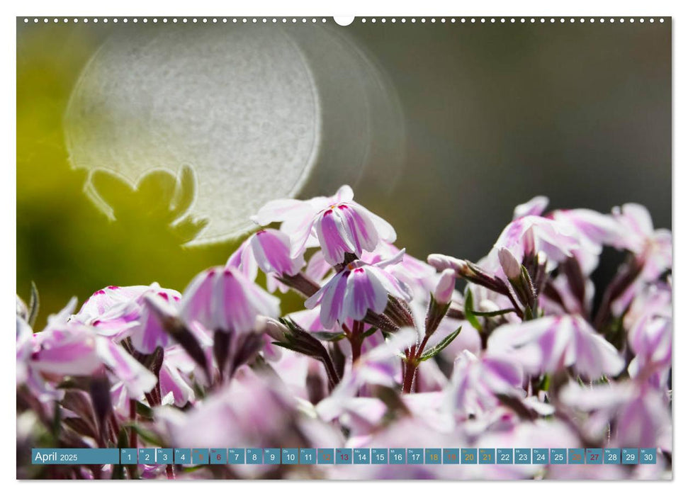 Zauberhaftes Bokeh - Glitzernde Welt winziger Wassertropfen (CALVENDO Premium Wandkalender 2025)