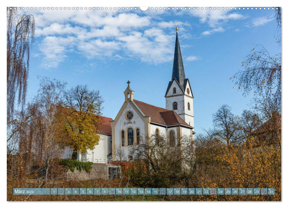 Steigerwald - Mitten in Franken (CALVENDO Wandkalender 2025)