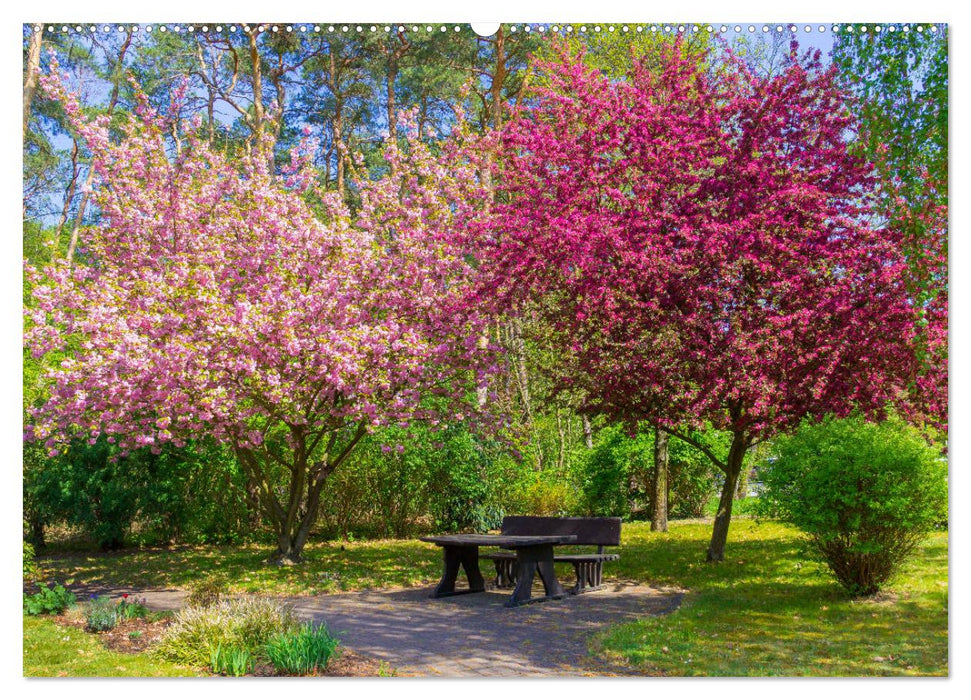 Bad Liebenwerda im Frühling (CALVENDO Premium Wandkalender 2025)