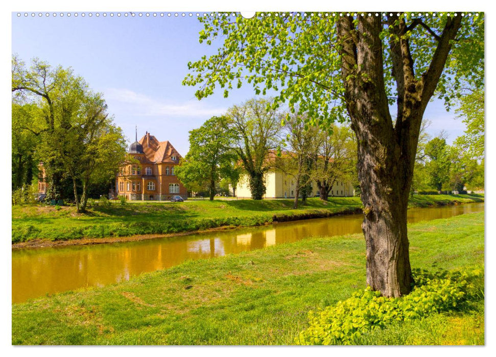 Bad Liebenwerda im Frühling (CALVENDO Premium Wandkalender 2025)