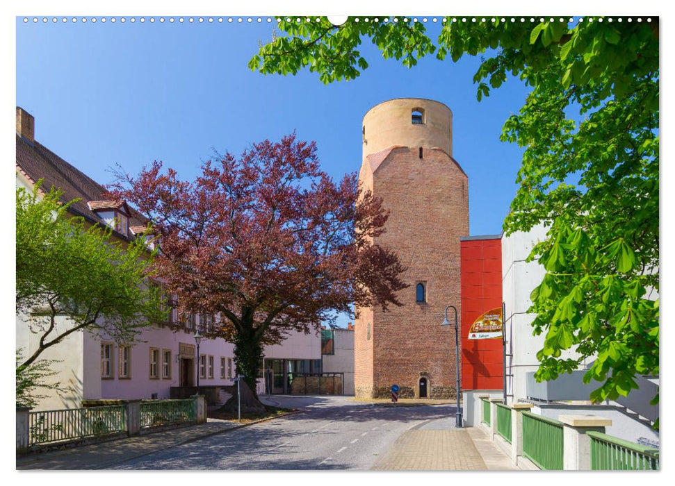 Bad Liebenwerda im Frühling (CALVENDO Premium Wandkalender 2025)