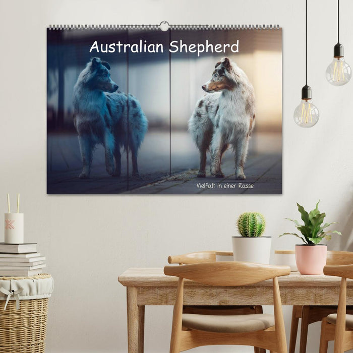 Australian Shepherd - Vielfalt in einer Rasse (CALVENDO Wandkalender 2025)