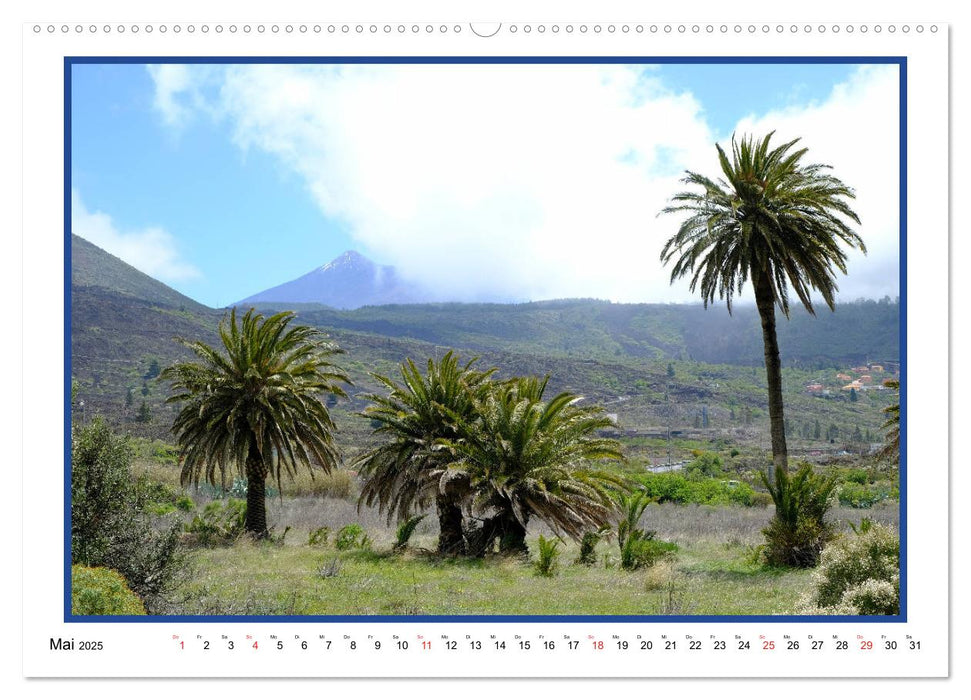 Teneriffa - Insel im Wind (CALVENDO Wandkalender 2025)