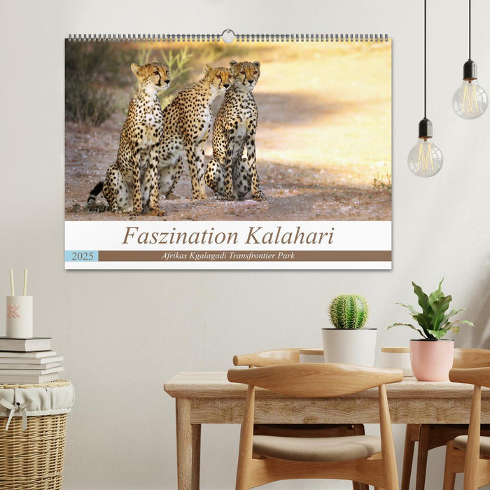 Faszination Kalahari (CALVENDO Wandkalender 2025)