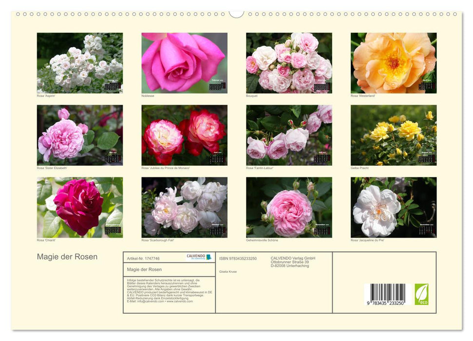 Magie der Rosen (CALVENDO Premium Wandkalender 2025)