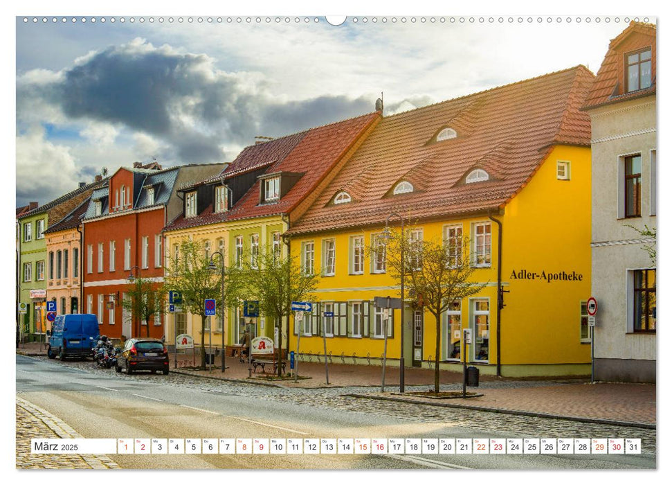 Schwaan Impressionen (CALVENDO Premium Wandkalender 2025)