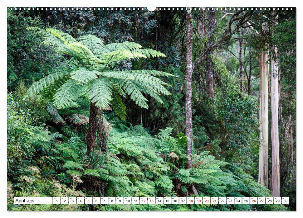 Traumstraßen der Welt - Great Ocean Road (CALVENDO Premium Wandkalender 2025)