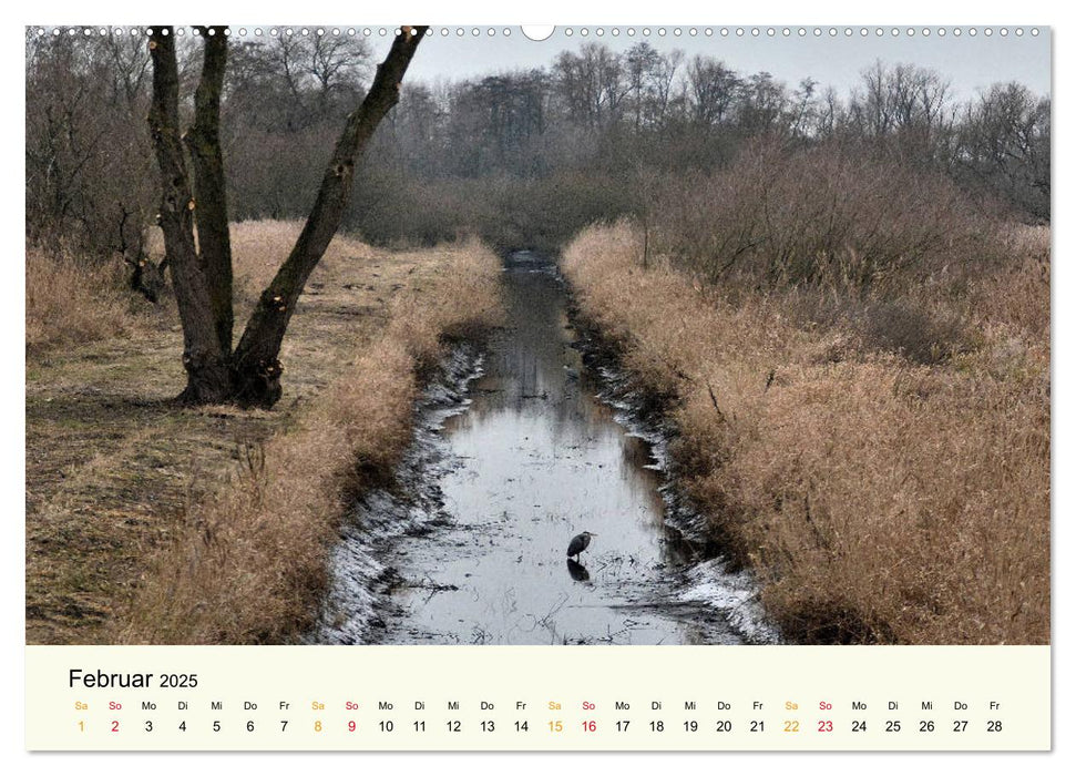 Bremen-Blockland (CALVENDO Wandkalender 2025)