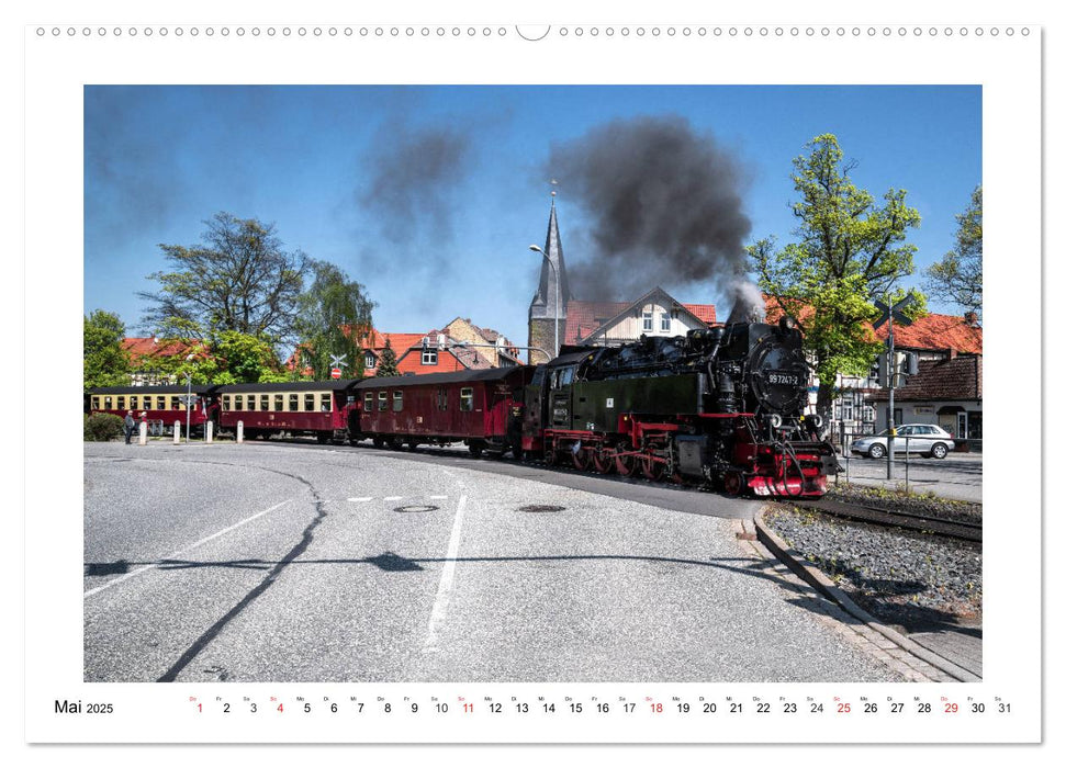 Wernigerode - Die Fachwerkstadt im Harz (CALVENDO Premium Wandkalender 2025)