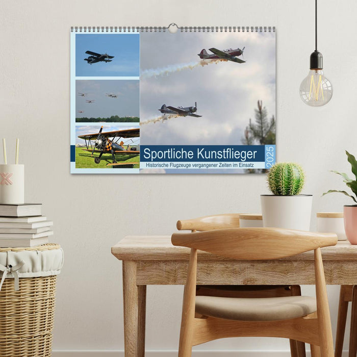 Sportliche Kunstflieger (CALVENDO Wandkalender 2025)