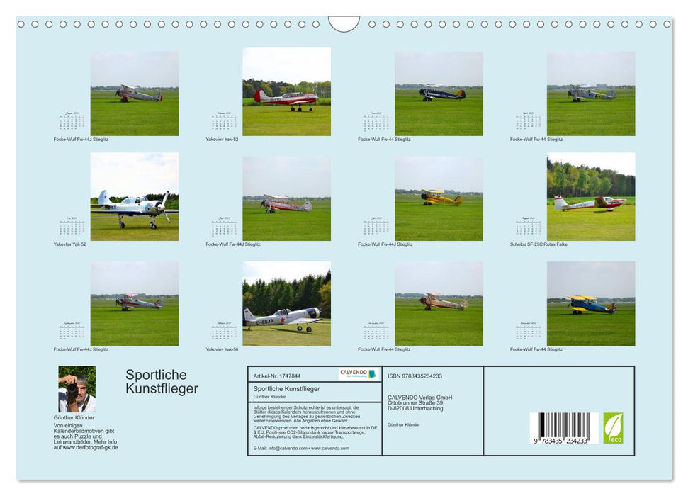 Sportliche Kunstflieger (CALVENDO Wandkalender 2025)