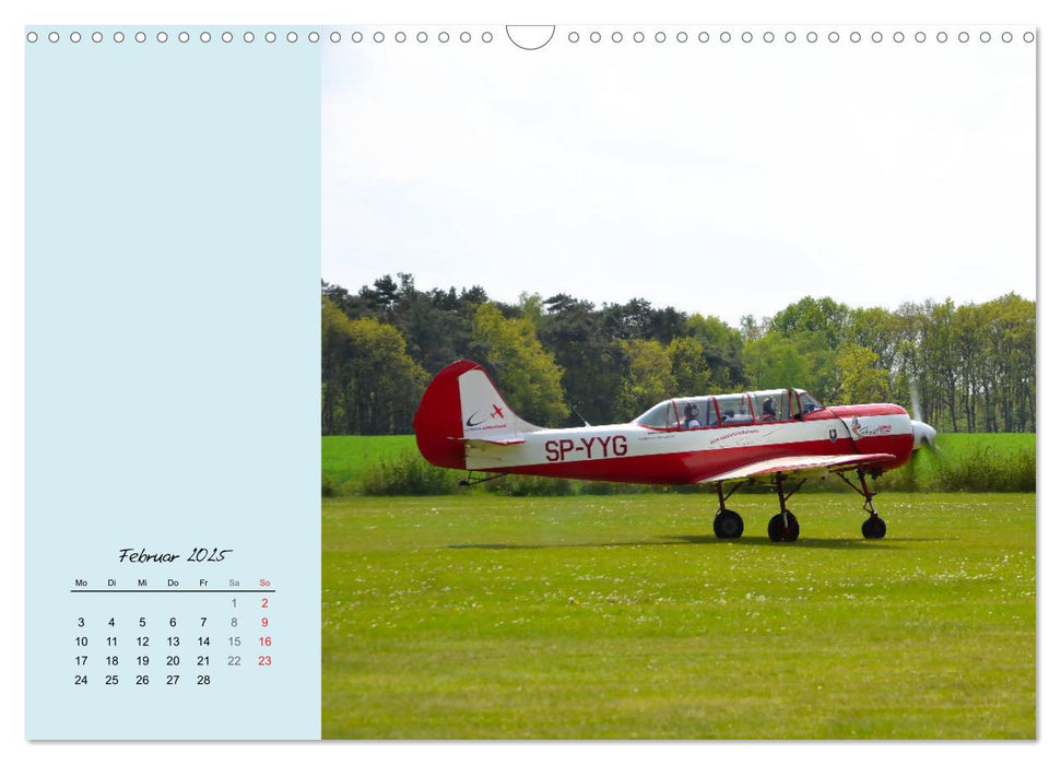 Sportliche Kunstflieger (CALVENDO Wandkalender 2025)