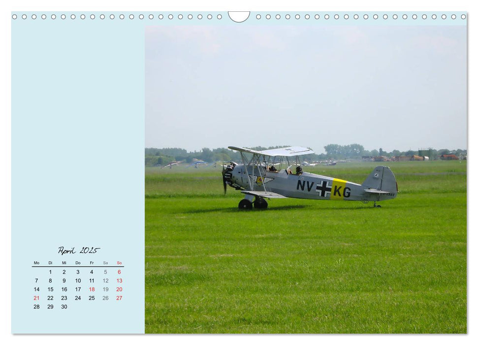 Sportliche Kunstflieger (CALVENDO Wandkalender 2025)