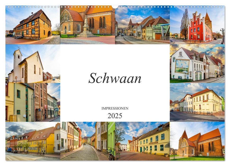 Schwaan Impressionen (CALVENDO Wandkalender 2025)