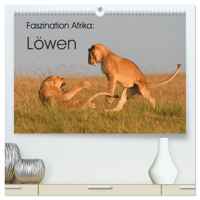 Faszination Afrika: Löwen (CALVENDO Premium Wandkalender 2025)