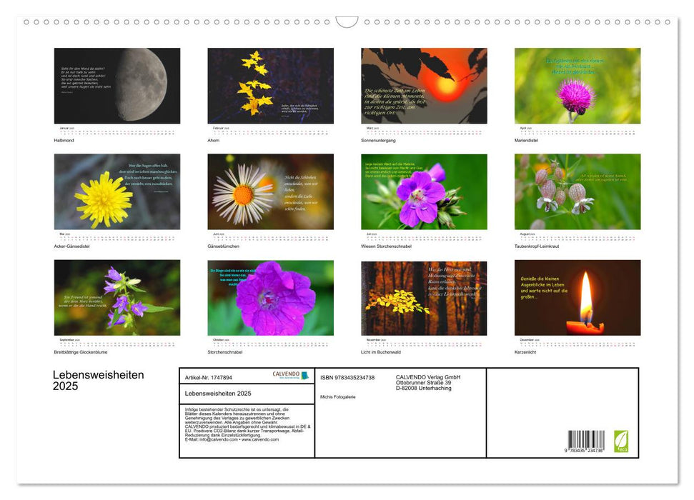 Lebensweisheiten 2025 (CALVENDO Wandkalender 2025)