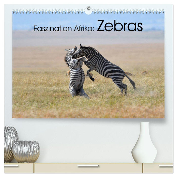 Faszination Afrika: Zebras (CALVENDO Premium Wandkalender 2025)