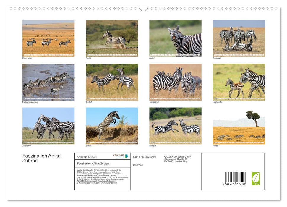 Faszination Afrika: Zebras (CALVENDO Premium Wandkalender 2025)