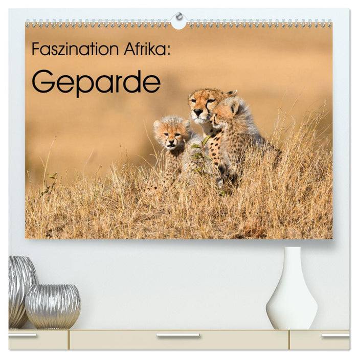 Faszinaton Afrika: Geparde (CALVENDO Premium Wandkalender 2025)