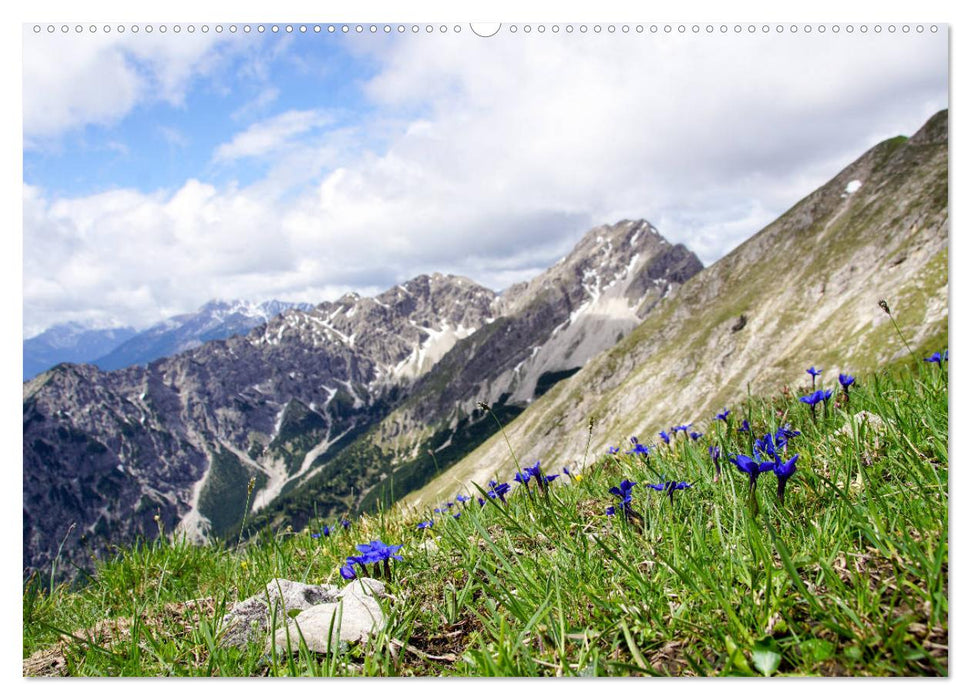 Ammergauer Alpen (CALVENDO Premium Wandkalender 2025)