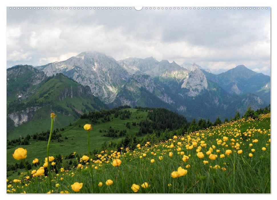 Ammergauer Alpen (CALVENDO Premium Wandkalender 2025)